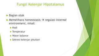 Fungsi Kelenjar Hipotalamus
 Bagian otak
 Memelihara homeostasis  regulasi internal
environment, misal:
 Nadi
 Temperatur
 Water balance
 Sekresi kelenjar pituitari
 