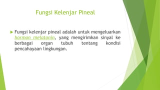 Fungsi Kelenjar Pineal
 Fungsi kelenjar pineal adalah untuk mengeluarkan
hormon melatonin, yang mengirimkan sinyal ke
berbagai organ tubuh tentang kondisi
pencahayaan lingkungan.
 