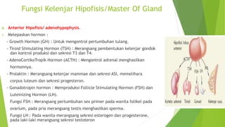 Fungsi Kelenjar Hipofisis/Master Of Gland
A. Anterior Hipofisis/ adenohypophysis.
1. Melepaskan hormon :
- Growth Hormon (GH) : Untuk mengontrol pertumbuhan tulang.
- Tiroid Stimulating Hormon (TSH) : Merangsang pembentukan kelenjar gondok
dan kontrol produksi dan sekresi T3 dan T4.
- AdenoCortikoTropik Hormon (ACTH) : Mengontrol adrenal menghasilkan
hormonnya.
- Prolaktin : Merangsang kelenjar mammae dan sekresi ASI, memelihara
corpus luteum dan sekresi progesteron.
- Gonadotropin hormon : Memproduksi Follicle Stimulating Hormon (FSH) dan
Luteinizing Hormon (LH).
Fungsi FSH : Merangsang pertumbuhan sex primer pada wanita folikel pada
ovarium, pada pria merangsang testis menghasilkan sperma.
Fungsi LH : Pada wanita merangsang sekresi esterogen dan progesterone,
pada laki-laki merangsang sekresi testoteron
 
