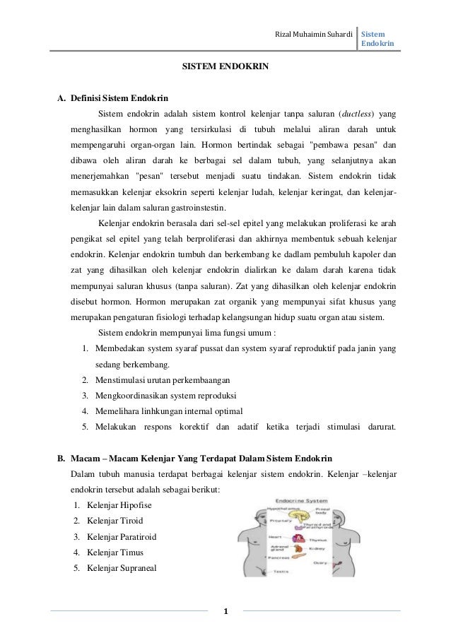 Sistem Endokrin Sistem Endokrin