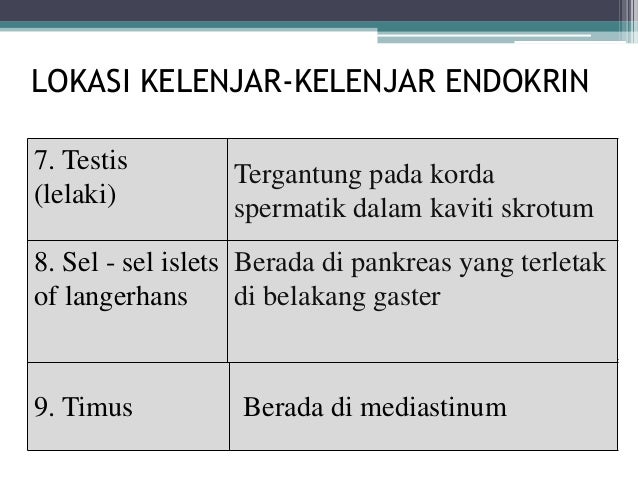 Sistem Endokrin Kskbkk