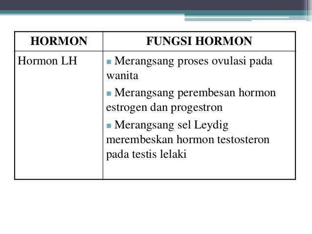 Sistem Endokrin Kskbkk