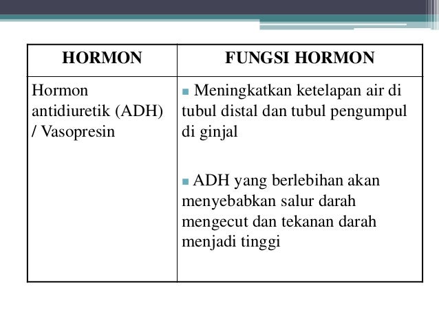 Hormon Oksitosin Hormon Cinta Di Dalam Kehidupan Manusia Alodokter