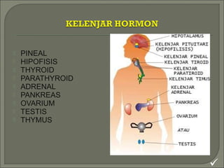 PINEAL
 HIPOFISIS
 THYROID
 PARATHYROID
 ADRENAL
 PANKREAS
 OVARIUM
 TESTIS
 THYMUS

 