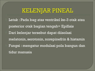  Letak : Pada bag atas ventrikel ke-3 otak atau
posterior otak bagian tengah= Epifisis
 Dari kelenjar tersebut dapat diisolasi
melatonin, serotonin, norepinefrin & histamin
 Fungsi : mengatur modulasi pola bangun dan
tidur manusia
 