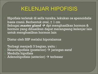  Hipofisis terletak di sella tursika, lekukan os spenoidalis
basis cranii. Berbentuk oval, ± 1 cm
 Sebagai master gland  dpt menghasilkan hormon &
hormon yang dihasilkan dapat merangsang kelenjar lain
untuk menghasilkan hormon lain
 Diatur oleh SSP melalui hipotalamus
 Terbagi menjadi 3 bagian, yaitu :
1. Neurohipofisis (posterior)  jaringan saraf
2. Medulla hipofisis
3. Adenohipofisis (anterior)  terbesar
 