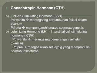 5. Gonadotropin Hormone (GTH)
a) Follicle Stimulating Hormone (FSH)
Pd wanita  merangsang pertumbuhan folikel dalam
ovarium
Pd pria  mempengaruhi proses spermatogenesis
b) Luteinizing Hormone (LH) = interstitial cell stimulating
hormone (ICSH)
Pd wanita  merangsang pematangan sel telur
(ovulasi)
Pd pria  menghasilkan sel leydig yang memproduksi
hormon testosteron
 