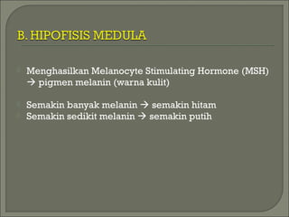  Menghasilkan Melanocyte Stimulating Hormone (MSH)
 pigmen melanin (warna kulit)
 Semakin banyak melanin  semakin hitam
 Semakin sedikit melanin  semakin putih
 