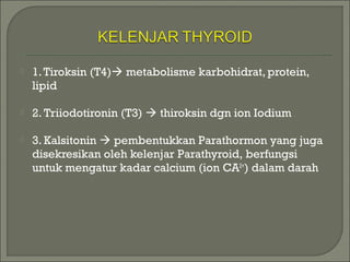  1.Tiroksin (T4) metabolisme karbohidrat, protein,
lipid
 2. Triiodotironin (T3)  thiroksin dgn ion Iodium
 3. Kalsitonin  pembentukkan Parathormon yang juga
disekresikan oleh kelenjar Parathyroid, berfungsi
untuk mengatur kadar calcium (ion CA2+
) dalam darah
 