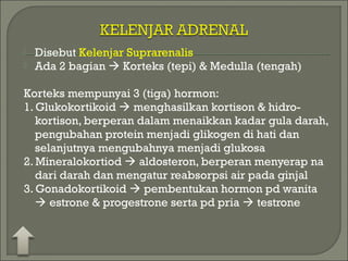  Disebut Kelenjar Suprarenalis
 Ada 2 bagian  Korteks (tepi) & Medulla (tengah)
Korteks mempunyai 3 (tiga) hormon:
1. Glukokortikoid  menghasilkan kortison & hidro-
kortison, berperan dalam menaikkan kadar gula darah,
pengubahan protein menjadi glikogen di hati dan
selanjutnya mengubahnya menjadi glukosa
2. Mineralokortiod  aldosteron, berperan menyerap na
dari darah dan mengatur reabsorpsi air pada ginjal
3. Gonadokortikoid  pembentukan hormon pd wanita
 estrone & progestrone serta pd pria  testrone
 