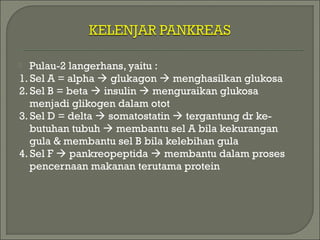  Pulau-2 langerhans, yaitu :
1. Sel A = alpha  glukagon  menghasilkan glukosa
2. Sel B = beta  insulin  menguraikan glukosa
menjadi glikogen dalam otot
3. Sel D = delta  somatostatin  tergantung dr ke-
butuhan tubuh  membantu sel A bila kekurangan
gula & membantu sel B bila kelebihan gula
4. Sel F  pankreopeptida  membantu dalam proses
pencernaan makanan terutama protein
 