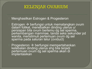  Menghasilkan Estrogen & Progesteron
 Estrogen  berfungsi untuk mematangkan ovum
dalam folikel, menebalkan dinding uterus u/
persiapan bila ovum bertemu dg sel sperma,
perkembangan mammae, tanda seks sekunder pd
wanita, menstimuli pertemuan ovum dg sel
sperma pada saluran telur (oviduct)
 Progesteron  berfungsi mempertahankan
ketebalan dinding uterus shg bila terjadi
pertemuan ovum dg sel sperma akan di
implantasikan
 