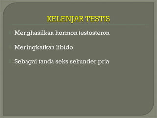  Menghasilkan hormon testosteron
 Meningkatkan libido
 Sebagai tanda seks sekunder pria
 
