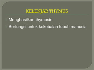  Menghasilkan thymosin
 Berfungsi untuk kekebalan tubuh manusia
 