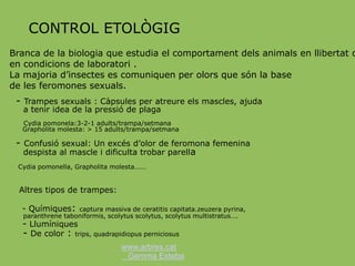 www.arbres.cat
Gemma Esteba
CONTROL ETOLÒGIG
Branca de la biologia que estudia el comportament dels animals en llibertat o
en condicions de laboratori .
La majoria d’insectes es comuniquen per olors que són la base
de les feromones sexuals.
- Trampes sexuals : Càpsules per atreure els mascles, ajuda
a tenir idea de la pressió de plaga
Cydia pomonela:3-2-1 adults/trampa/setmana
Grapholita molesta: > 15 adults/trampa/setmana
- Confusió sexual: Un excés d’olor de feromona femenina
despista al mascle i dificulta trobar parella
Cydia pomonella, Grapholita molesta……
Altres tipos de trampes:
- Químiques: captura massiva de ceratitis capitata.zeuzera pyrina,
paranthrene taboniformis, scolytus scolytus, scolytus multistratus….
- Llumíniques
- De color : trips, quadrapidiopus perniciosus
 
