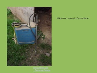 www.arbres.cat
Gemma Esteba
Màquina manual d'ensulfatar
 