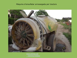 www.arbres.cat
Gemma Esteba
Màquina d'ensulfatar arrossegada per tractors
 