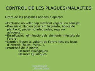 www.arbres.cat
Gemma Esteba
CONTROL DE LES PLAGUES/MALALTIES
Ordre de les possibles accions a aplicar:
•Exclusió: no voler cap material vegetal no sanejat
•Prevenció: lloc on posarem la planta, època de
plantació, podes no adequades, regs no
adequats….
•Erradicació: eliminació dels elements infectats de
l’arbre.
•Neteja: Treure al voltant de l’arbre tots els focus
d’infecció (fulles, fruits…),
•Protecció de la planta:
Mesures Biològiques
Mesures Químiques
 