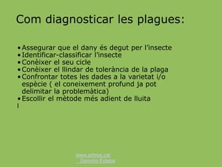 www.arbres.cat
Gemma Esteba
Com diagnosticar les plagues:
•Assegurar que el dany és degut per l’insecte
•Identificar-classificar l’insecte
•Conèixer el seu cicle
•Conèixer el llindar de tolerància de la plaga
•Confrontar totes les dades a la varietat i/o
espècie ( el coneixement profund ja pot
delimitar la problemàtica)
•Escollir el mètode més adient de lluita
l
 