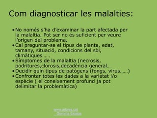 www.arbres.cat
Gemma Esteba
Com diagnosticar les malalties:
•No només s’ha d’examinar la part afectada per
la malaltia. Pot ser no és suficient per veure
l’origen del problema.
•Cal preguntar-se el tipus de planta, edat,
tamany, situació, condicions del sòl,
climàtiques……
•Símptomes de la malaltia (necrosis,
podritures,clorosis,decadència general…
•Decidir quin tipus de patògens (fongs, virus……)
•Confrontar totes les dades a la varietat i/o
espècie ( el coneixement profund ja pot
delimitar la problemàtica)
 