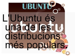 L'Ubuntu és una de les distribucions més populars . UBUNTU 