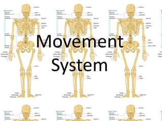 Movement
 System
 