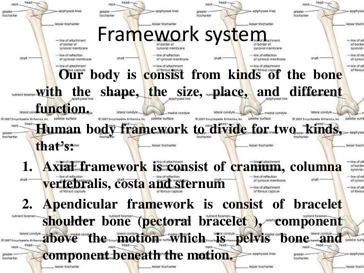 Sistem Gerak