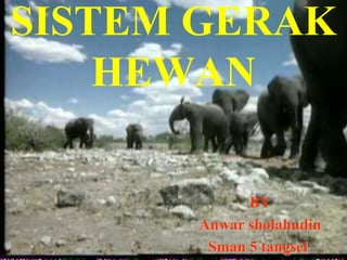 SISTEM GERAK
    HEWAN

            BY
      Anwar sholahudin
       Sman 5 tangsel
 