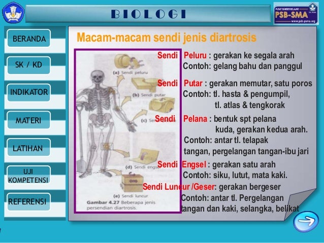 Sistem Gerak