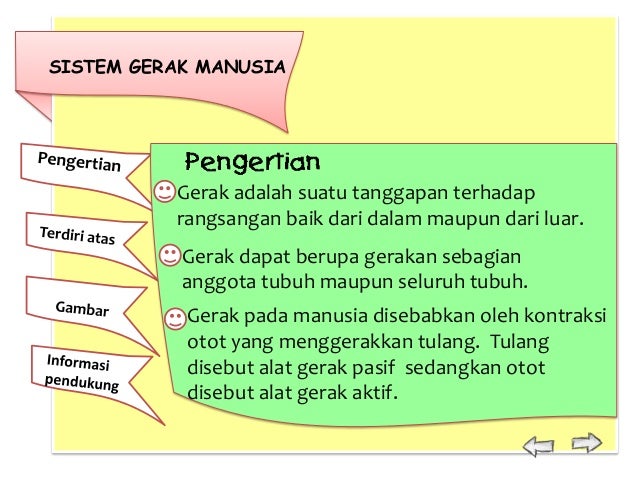 Sistem Gerak 26291117