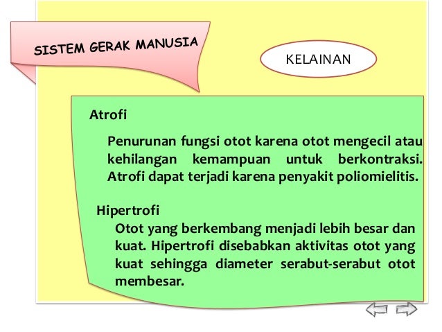 Sistem Gerak 26291117