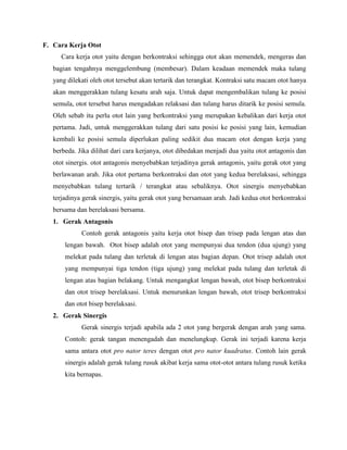 F. Cara Kerja Otot
Cara kerja otot yaitu dengan berkontraksi sehingga otot akan memendek, mengeras dan
bagian tengahnya menggelembung (membesar). Dalam keadaan memendek maka tulang
yang dilekati oleh otot tersebut akan tertarik dan terangkat. Kontraksi satu macam otot hanya
akan menggerakkan tulang kesatu arah saja. Untuk dapat mengembalikan tulang ke posisi
semula, otot tersebut harus mengadakan relaksasi dan tulang harus ditarik ke posisi semula.
Oleh sebab itu perlu otot lain yang berkontraksi yang merupakan kebalikan dari kerja otot
pertama. Jadi, untuk menggerakkan tulang dari satu posisi ke posisi yang lain, kemudian
kembali ke posisi semula diperlukan paling sedikit dua macam otot dengan kerja yang
berbeda. Jika dilihat dari cara kerjanya, otot dibedakan menjadi dua yaitu otot antagonis dan
otot sinergis. otot antagonis menyebabkan terjadinya gerak antagonis, yaitu gerak otot yang
berlawanan arah. Jika otot pertama berkontraksi dan otot yang kedua berelaksasi, sehingga
menyebabkan tulang tertarik / terangkat atau sebaliknya. Otot sinergis menyebabkan
terjadinya gerak sinergis, yaitu gerak otot yang bersamaan arah. Jadi kedua otot berkontraksi
bersama dan berelaksasi bersama.
1. Gerak Antagonis
Contoh gerak antagonis yaitu kerja otot bisep dan trisep pada lengan atas dan
lengan bawah. Otot bisep adalah otot yang mempunyai dua tendon (dua ujung) yang
melekat pada tulang dan terletak di lengan atas bagian depan. Otot trisep adalah otot
yang mempunyai tiga tendon (tiga ujung) yang melekat pada tulang dan terletak di
lengan atas bagian belakang. Untuk mengangkat lengan bawah, otot bisep berkontraksi
dan otot trisep berelaksasi. Untuk menurunkan lengan bawah, otot trisep berkontraksi
dan otot bisep berelaksasi.
2. Gerak Sinergis
Gerak sinergis terjadi apabila ada 2 otot yang bergerak dengan arah yang sama.
Contoh: gerak tangan menengadah dan menelungkup. Gerak ini terjadi karena kerja
sama antara otot pro nator teres dengan otot pro nator kuadratus. Contoh lain gerak
sinergis adalah gerak tulang rusuk akibat kerja sama otot-otot antara tulang rusuk ketika
kita bernapas.

 