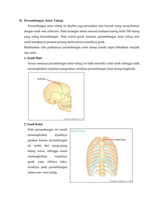D. Persambungan Antar Tulang
Persambungan antar tulang ini disebut juga persendian atau banyak orang menyebutnya
dengan sendi atau artikulasi. Pada kerangka tubuh manusia terdapat kurang lebih 200 tulang
yang saling bersambungan. Pada sistem gerak manusia, persambungan antar tulang atau
sendi mempunyai peranan penting dalam proses terjadinya gerak.
Berdasarkan sifat gerakannya persambungan antar tulang (sendi) dapat dibedakan menjadi
tiga yaitu:
1. Sendi Mati
Sesuai namanya persambungan antar tulang ini tidak memiliki celah sendi sehingga tidak
memungkinkan terjadinya pergerakan, misalnya persambungan antar tulang tengkorak.

2. Sendi Kaku
Pada persambungan ini masih
memungkinkan

terjadinya

gerakan karena persambungan
ini terdiri dari ujung-ujung
tulang rawan, sehingga masih
memungkinkan
gerak

yang

terjadinya
sifatnya

kaku,

misalnya pada persambungan
antara ruas- ruas tulang.

 