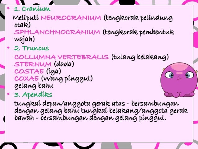 Sistem Gerak 40837982