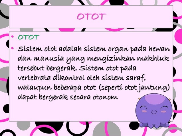 Sistem gerak Sistem gerak