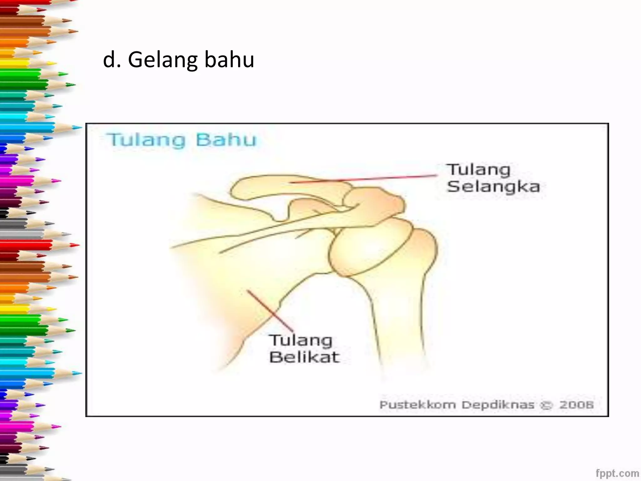 d. Gelang bahu 
 