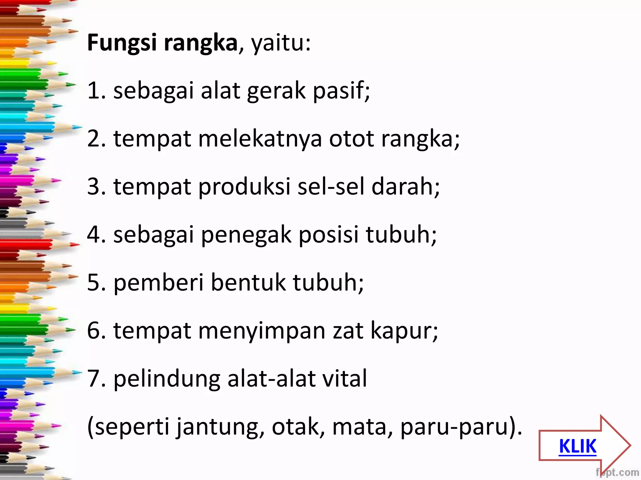 Fungsi rangka, yaitu: 
1. sebagai alat gerak pasif; 
2. tempat melekatnya otot rangka; 
3. tempat produksi sel-sel darah; 
4. sebagai penegak posisi tubuh; 
5. pemberi bentuk tubuh; 
6. tempat menyimpan zat kapur; 
7. pelindung alat-alat vital 
(seperti jantung, otak, mata, paru-paru). 
KLIK 
 