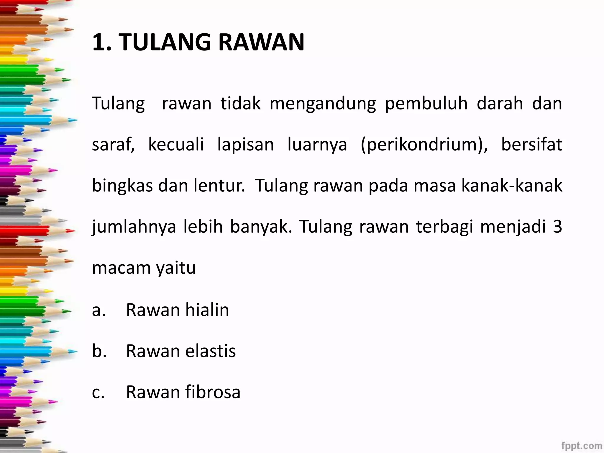 1. TULANG RAWAN 
Tulang rawan tidak mengandung pembuluh darah dan 
saraf, kecuali lapisan luarnya (perikondrium), bersifat 
bingkas dan lentur. Tulang rawan pada masa kanak-kanak 
jumlahnya lebih banyak. Tulang rawan terbagi menjadi 3 
macam yaitu 
a. Rawan hialin 
b. Rawan elastis 
c. Rawan fibrosa 
 