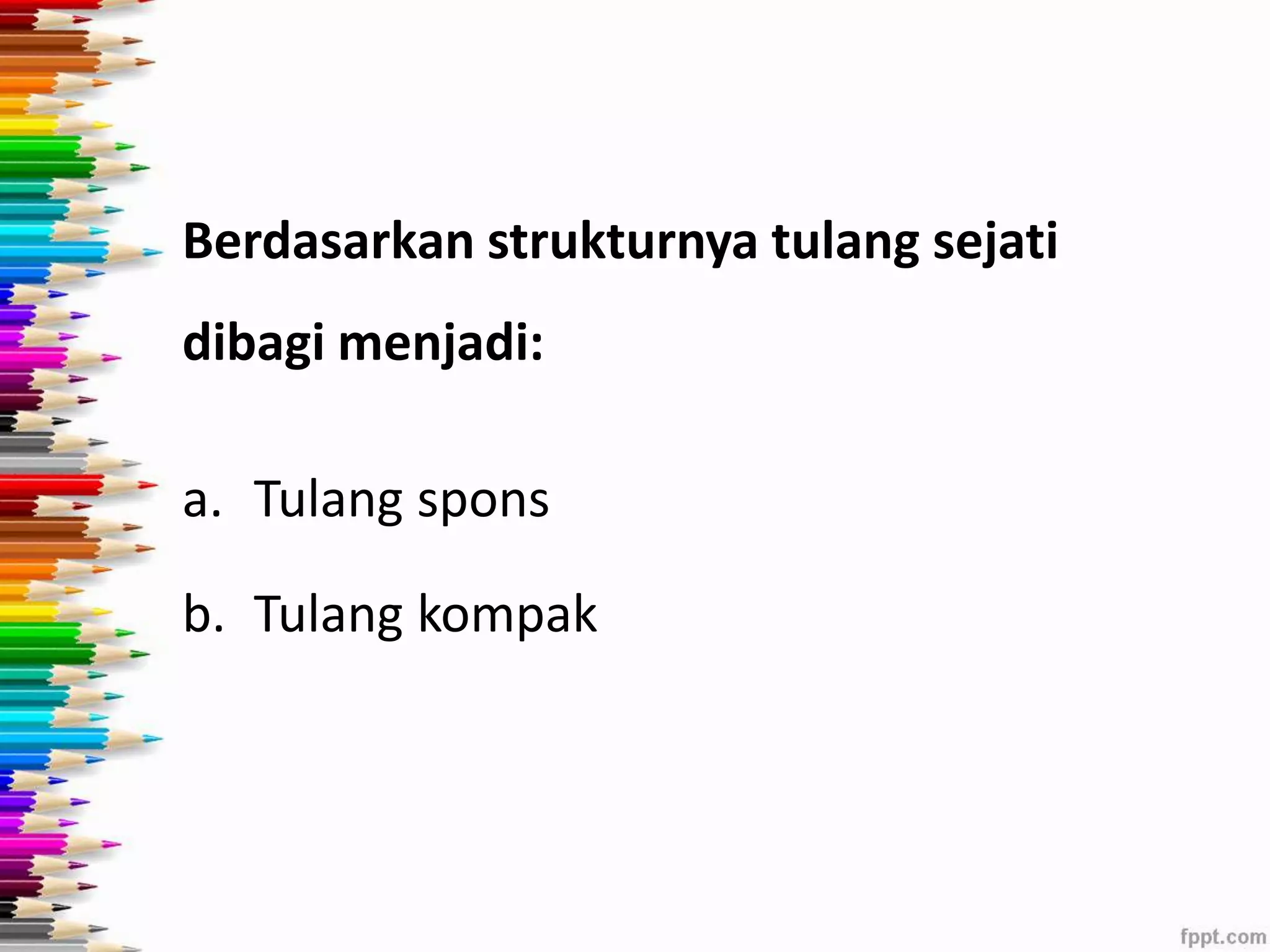 Berdasarkan strukturnya tulang sejati 
dibagi menjadi: 
a. Tulang spons 
b. Tulang kompak 
 