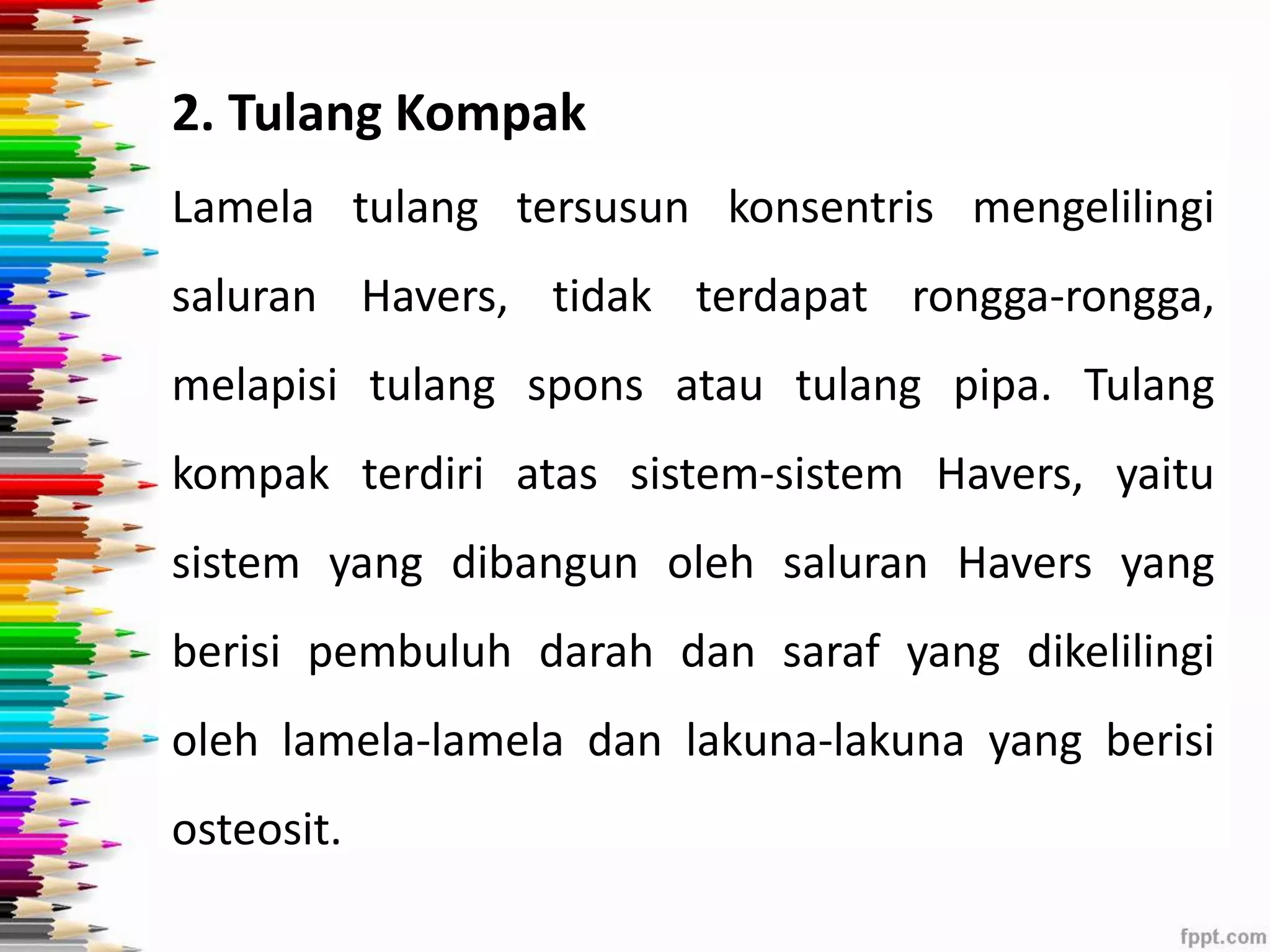 2. Tulang Kompak 
Lamela tulang tersusun konsentris mengelilingi 
saluran Havers, tidak terdapat rongga-rongga, 
melapisi tulang spons atau tulang pipa. Tulang 
kompak terdiri atas sistem-sistem Havers, yaitu 
sistem yang dibangun oleh saluran Havers yang 
berisi pembuluh darah dan saraf yang dikelilingi 
oleh lamela-lamela dan lakuna-lakuna yang berisi 
osteosit. 
 