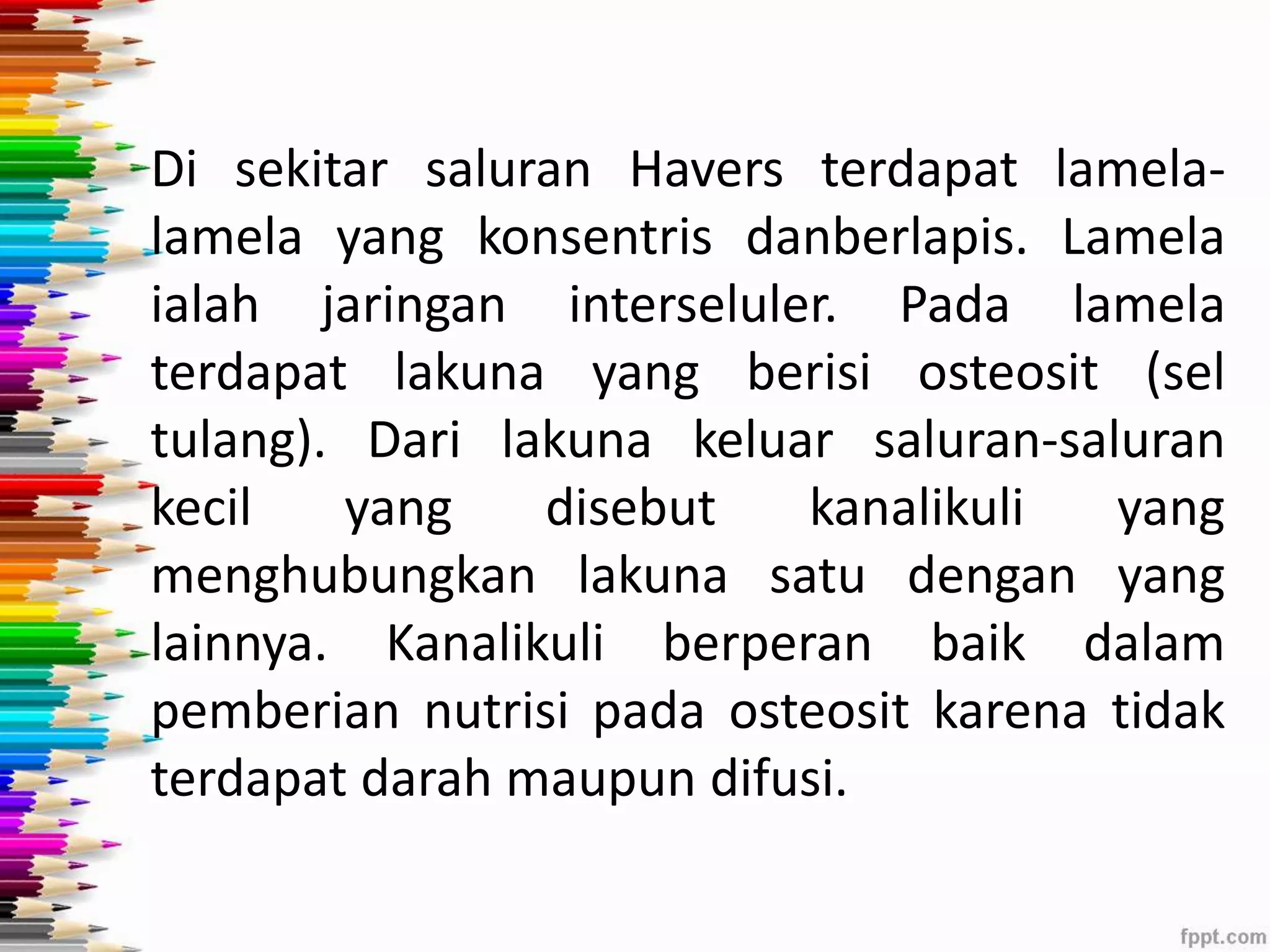 Di sekitar saluran Havers terdapat lamela-lamela 
yang konsentris danberlapis. Lamela 
ialah jaringan interseluler. Pada lamela 
terdapat lakuna yang berisi osteosit (sel 
tulang). Dari lakuna keluar saluran-saluran 
kecil yang disebut kanalikuli yang 
menghubungkan lakuna satu dengan yang 
lainnya. Kanalikuli berperan baik dalam 
pemberian nutrisi pada osteosit karena tidak 
terdapat darah maupun difusi. 
 