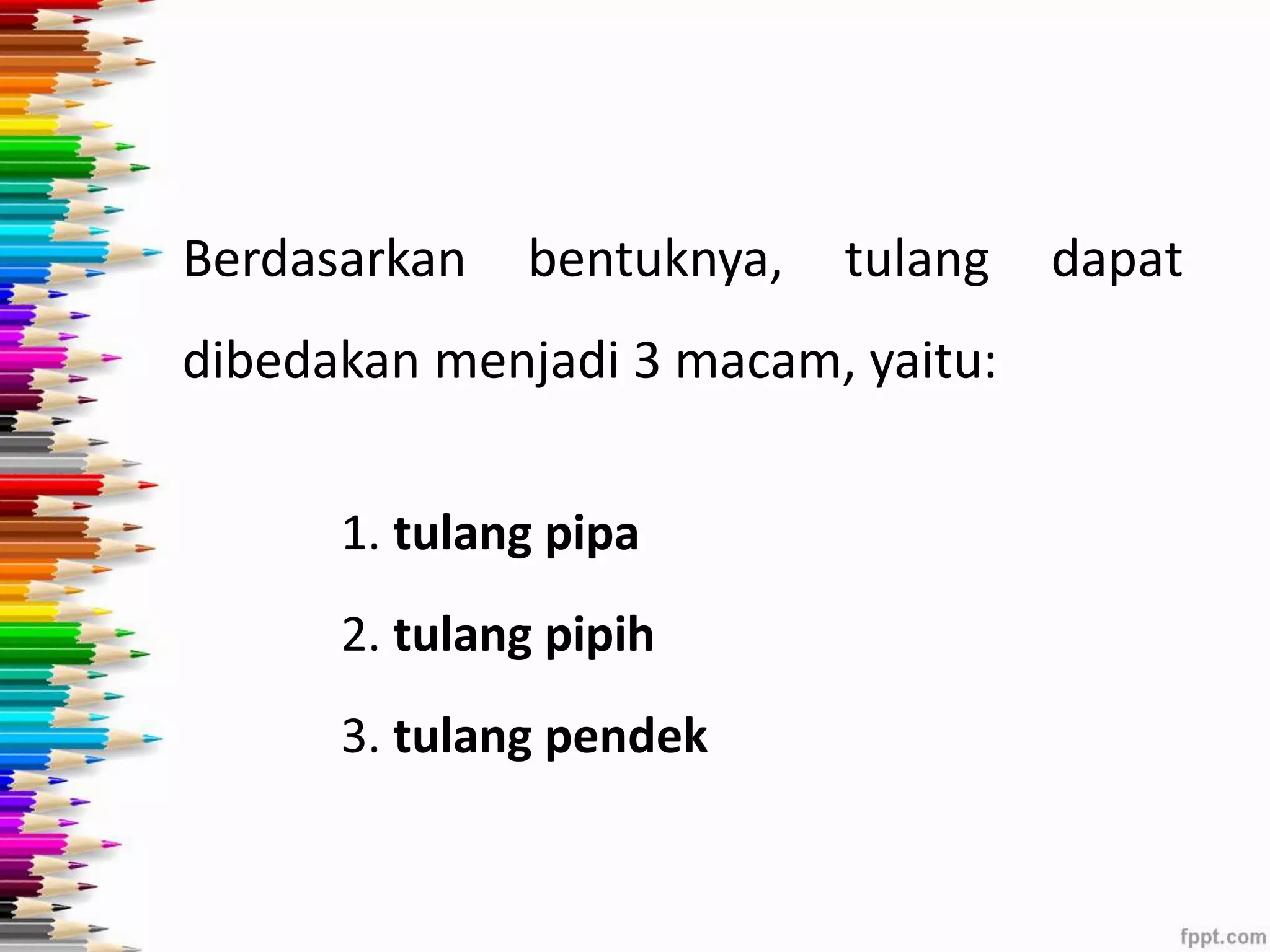 Berdasarkan bentuknya, tulang dapat 
dibedakan menjadi 3 macam, yaitu: 
1. tulang pipa 
2. tulang pipih 
3. tulang pendek 
 