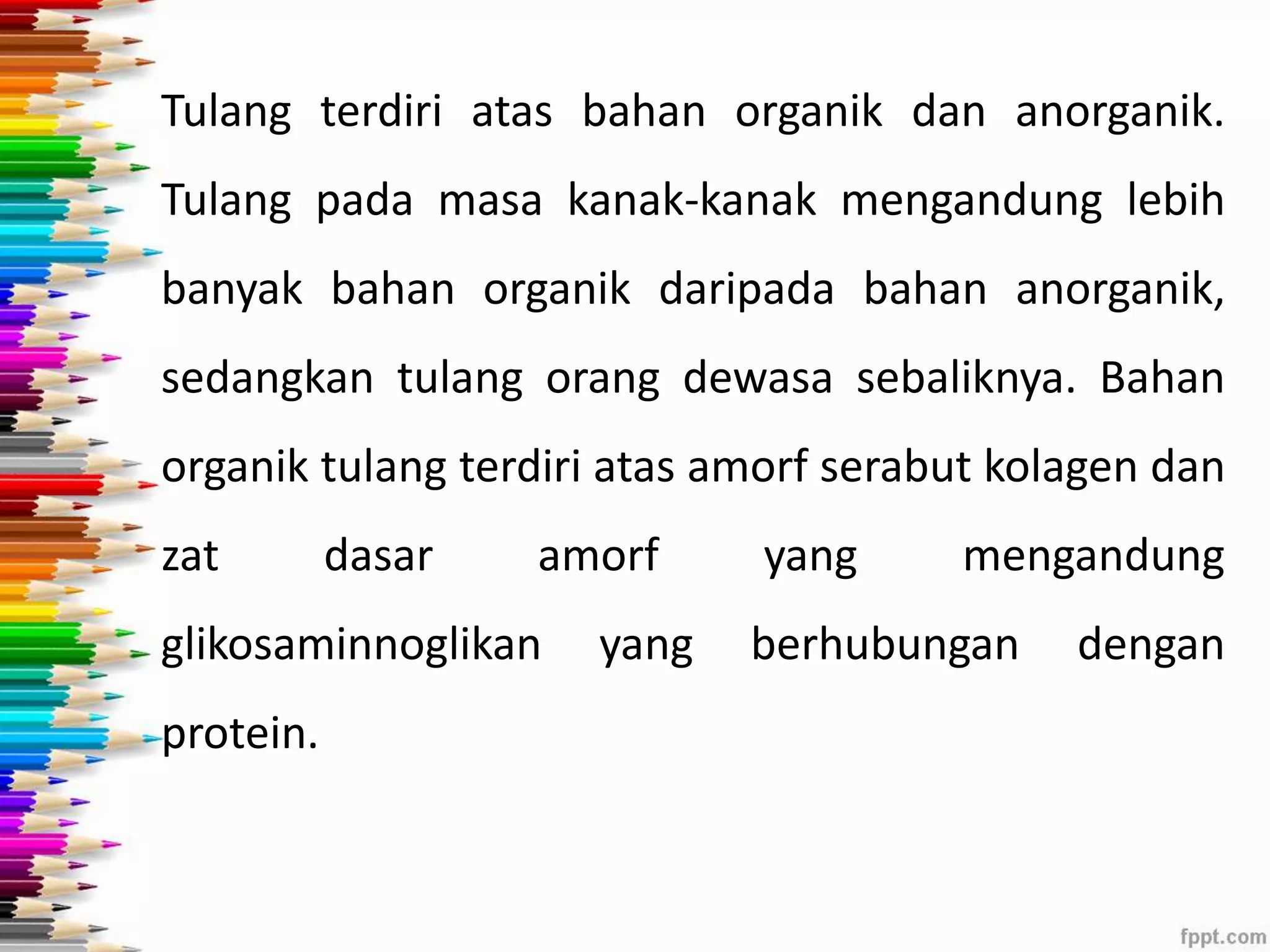 Tulang terdiri atas bahan organik dan anorganik. 
Tulang pada masa kanak-kanak mengandung lebih 
banyak bahan organik daripada bahan anorganik, 
sedangkan tulang orang dewasa sebaliknya. Bahan 
organik tulang terdiri atas amorf serabut kolagen dan 
zat dasar amorf yang mengandung 
glikosaminnoglikan yang berhubungan dengan 
protein. 
 