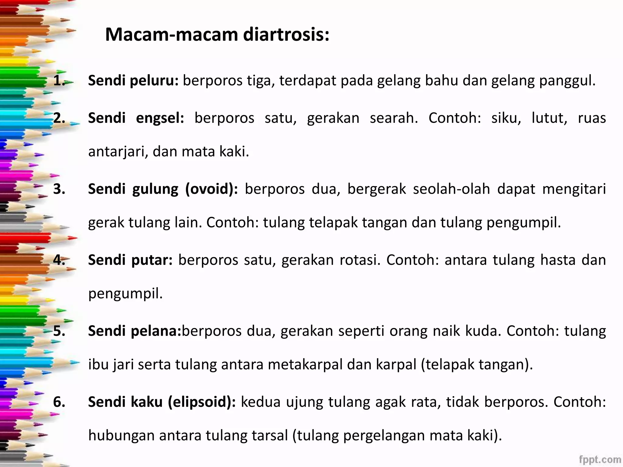 Macam-macam diartrosis: 
1. Sendi peluru: berporos tiga, terdapat pada gelang bahu dan gelang panggul. 
2. Sendi engsel: berporos satu, gerakan searah. Contoh: siku, lutut, ruas 
antarjari, dan mata kaki. 
3. Sendi gulung (ovoid): berporos dua, bergerak seolah-olah dapat mengitari 
gerak tulang lain. Contoh: tulang telapak tangan dan tulang pengumpil. 
4. Sendi putar: berporos satu, gerakan rotasi. Contoh: antara tulang hasta dan 
pengumpil. 
5. Sendi pelana:berporos dua, gerakan seperti orang naik kuda. Contoh: tulang 
ibu jari serta tulang antara metakarpal dan karpal (telapak tangan). 
6. Sendi kaku (elipsoid): kedua ujung tulang agak rata, tidak berporos. Contoh: 
hubungan antara tulang tarsal (tulang pergelangan mata kaki). 
 
