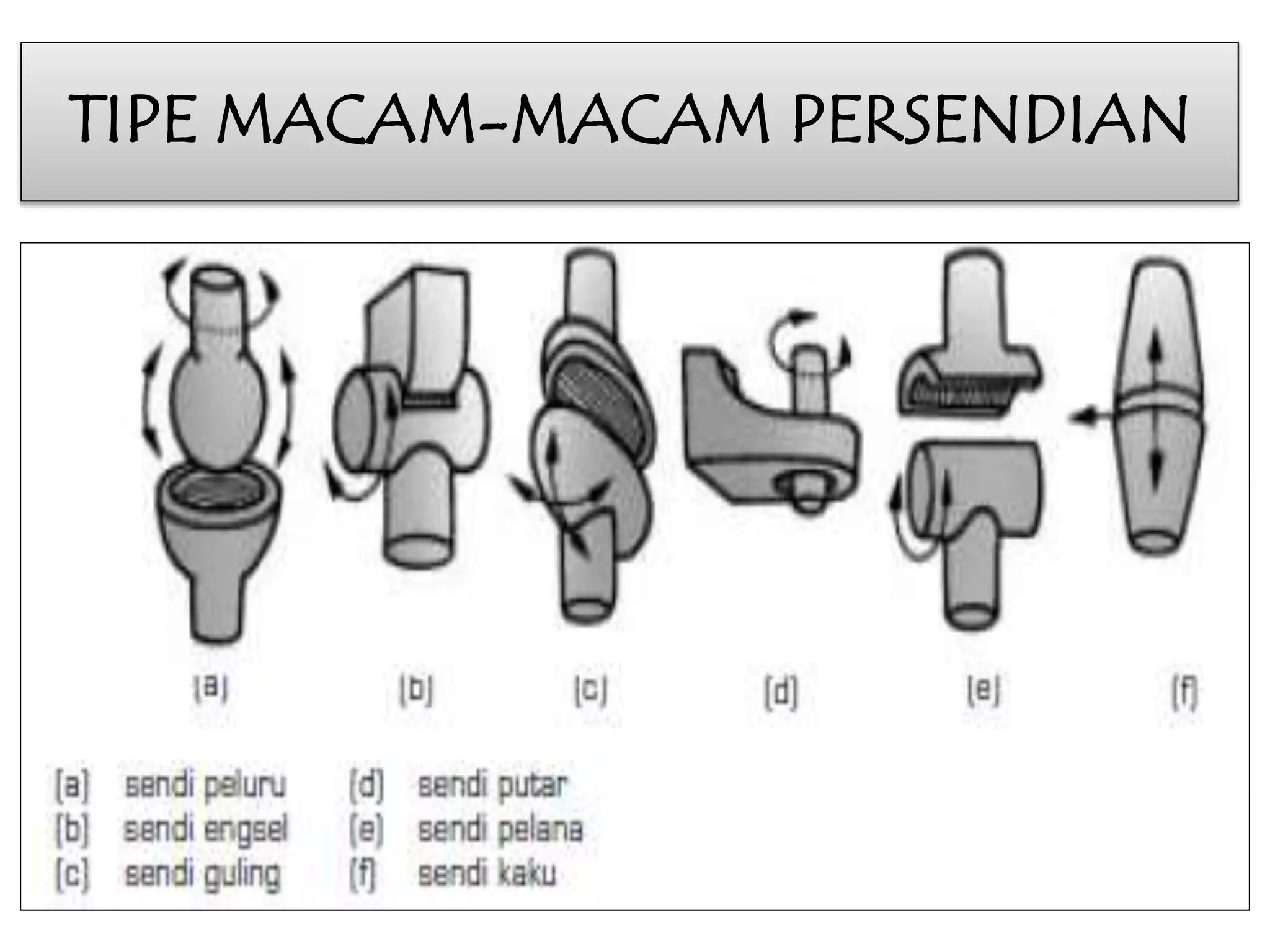 TIPE MACAM-MACAM PERSENDIAN 
 