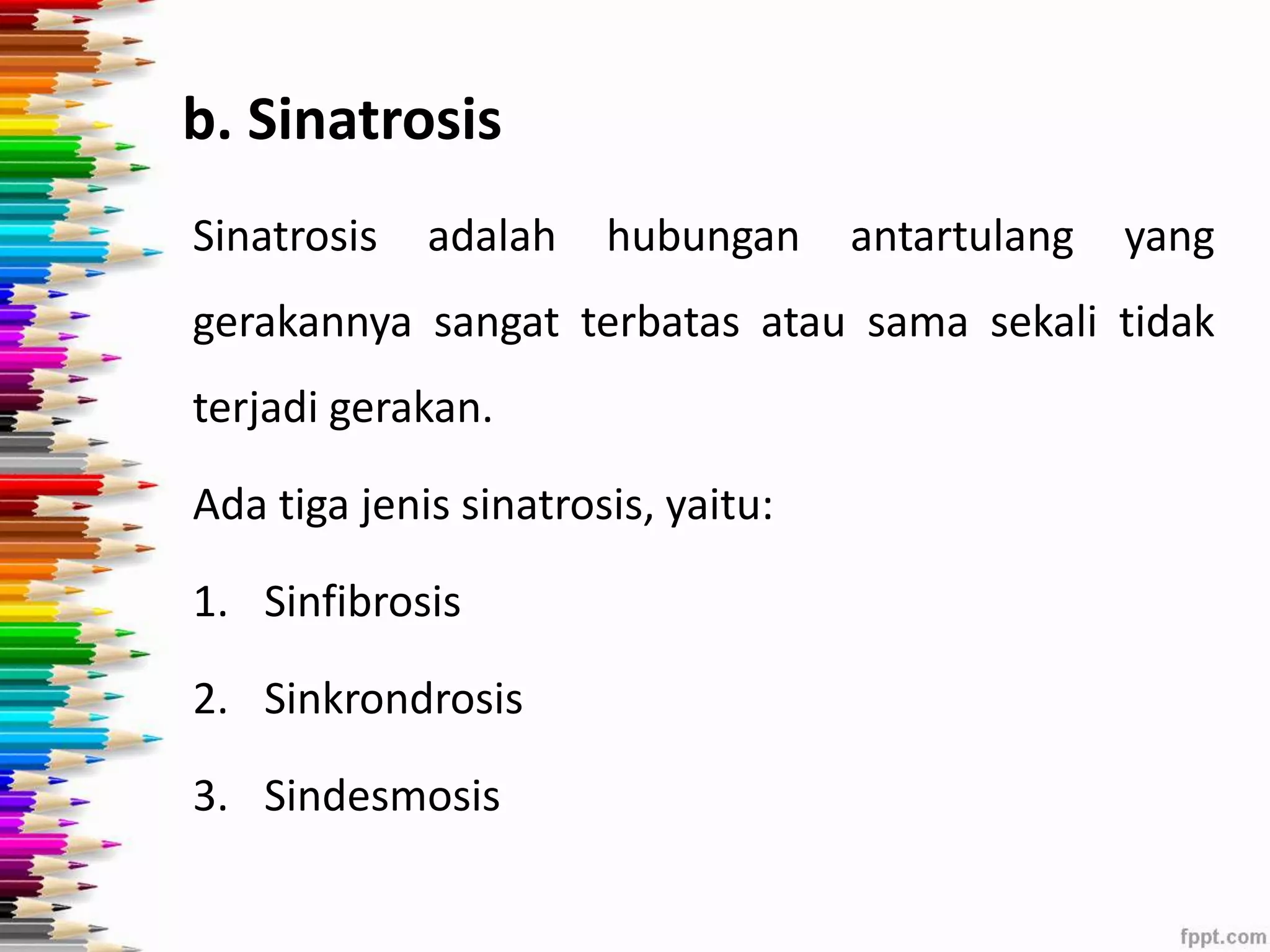 b. Sinatrosis 
Sinatrosis adalah hubungan antartulang yang 
gerakannya sangat terbatas atau sama sekali tidak 
terjadi gerakan. 
Ada tiga jenis sinatrosis, yaitu: 
1. Sinfibrosis 
2. Sinkrondrosis 
3. Sindesmosis 
 