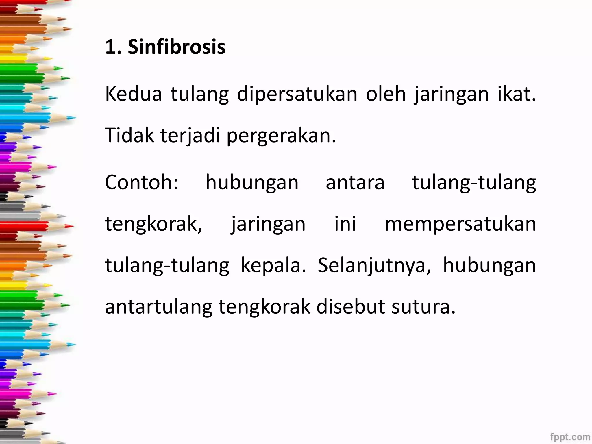 1. Sinfibrosis 
Kedua tulang dipersatukan oleh jaringan ikat. 
Tidak terjadi pergerakan. 
Contoh: hubungan antara tulang-tulang 
tengkorak, jaringan ini mempersatukan 
tulang-tulang kepala. Selanjutnya, hubungan 
antartulang tengkorak disebut sutura. 
 