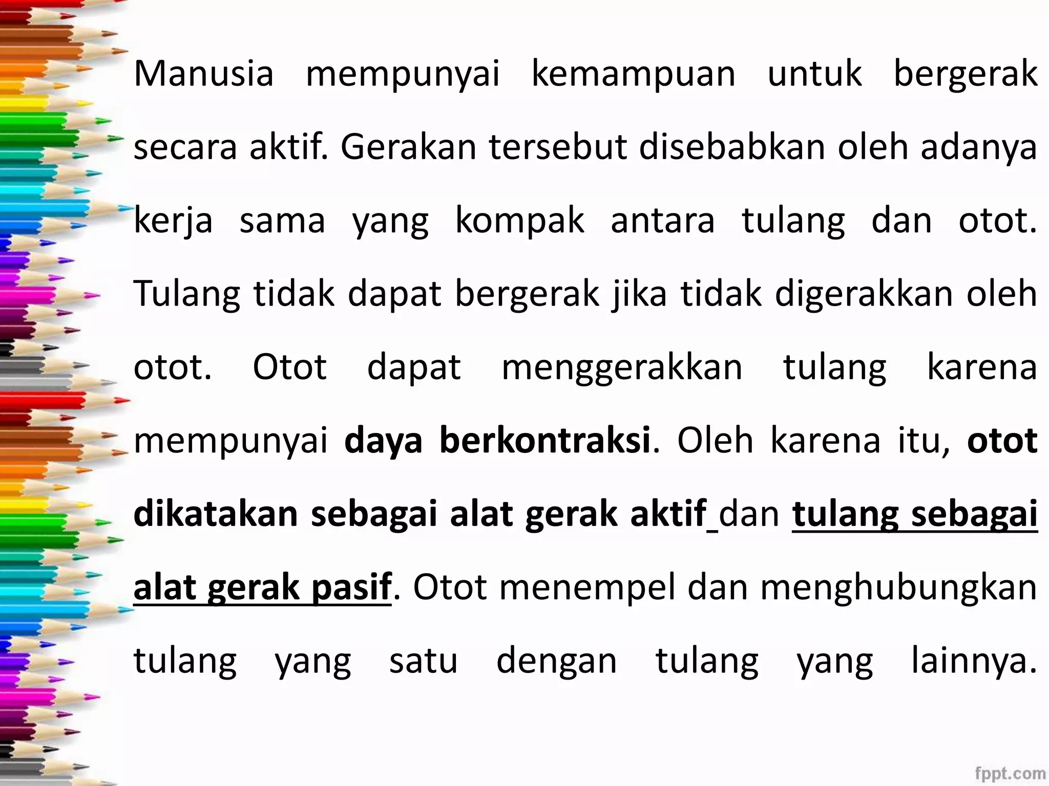 Manusia mempunyai kemampuan untuk bergerak 
secara aktif. Gerakan tersebut disebabkan oleh adanya 
kerja sama yang kompak antara tulang dan otot. 
Tulang tidak dapat bergerak jika tidak digerakkan oleh 
otot. Otot dapat menggerakkan tulang karena 
mempunyai daya berkontraksi. Oleh karena itu, otot 
dikatakan sebagai alat gerak aktif dan tulang sebagai 
alat gerak pasif. Otot menempel dan menghubungkan 
tulang yang satu dengan tulang yang lainnya. 
 