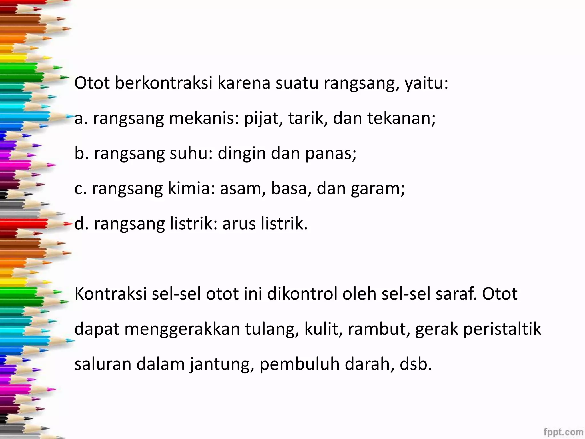 Otot berkontraksi karena suatu rangsang, yaitu: 
a. rangsang mekanis: pijat, tarik, dan tekanan; 
b. rangsang suhu: dingin dan panas; 
c. rangsang kimia: asam, basa, dan garam; 
d. rangsang listrik: arus listrik. 
Kontraksi sel-sel otot ini dikontrol oleh sel-sel saraf. Otot 
dapat menggerakkan tulang, kulit, rambut, gerak peristaltik 
saluran dalam jantung, pembuluh darah, dsb. 
 