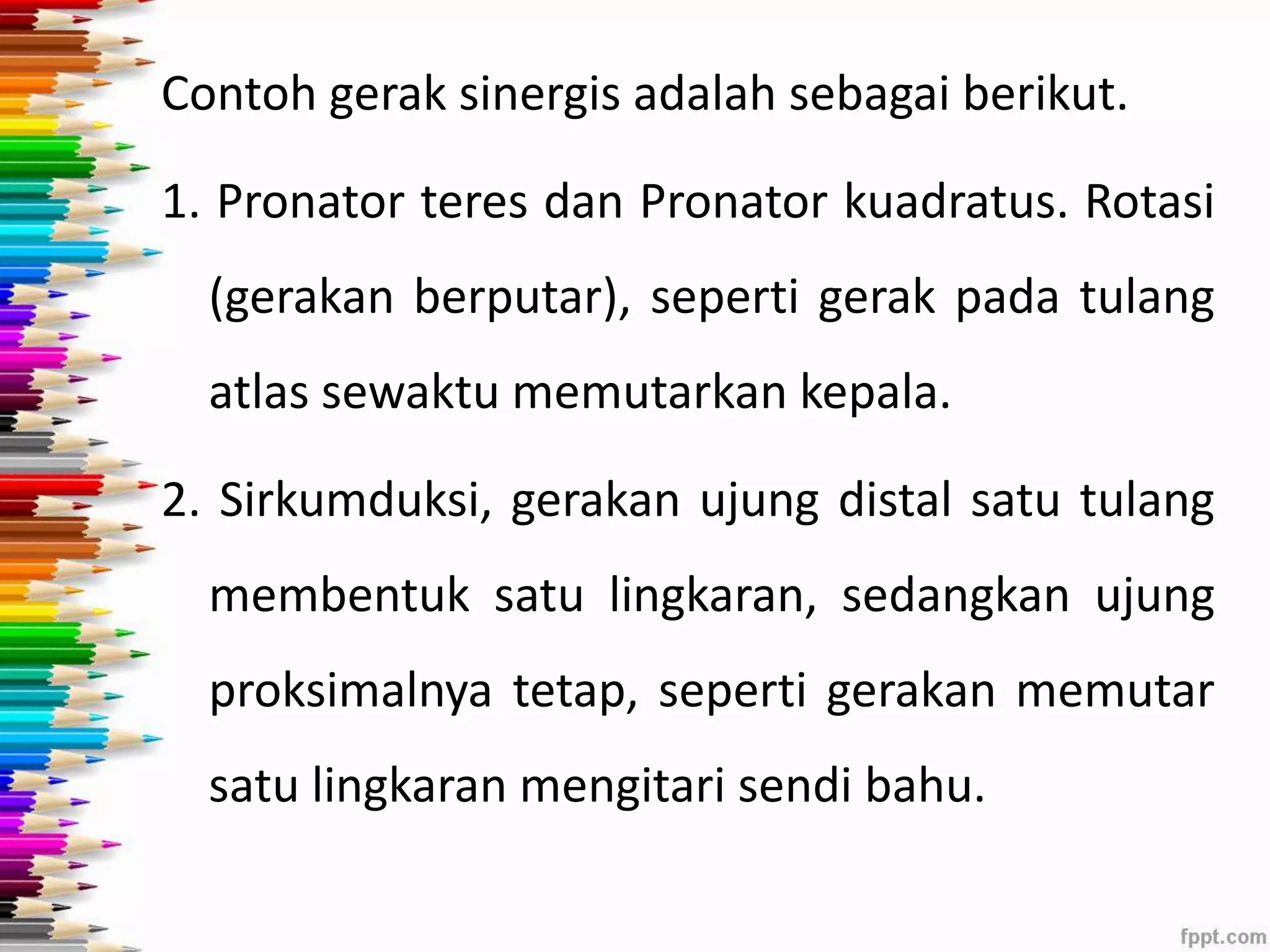 Contoh gerak sinergis adalah sebagai berikut. 
1. Pronator teres dan Pronator kuadratus. Rotasi 
(gerakan berputar), seperti gerak pada tulang 
atlas sewaktu memutarkan kepala. 
2. Sirkumduksi, gerakan ujung distal satu tulang 
membentuk satu lingkaran, sedangkan ujung 
proksimalnya tetap, seperti gerakan memutar 
satu lingkaran mengitari sendi bahu. 
 